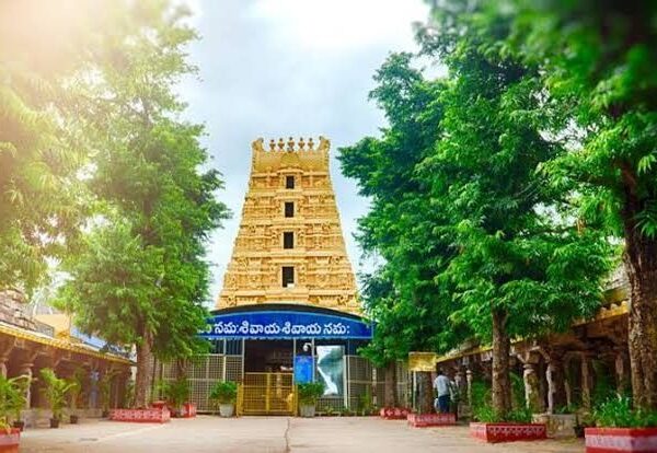 2 Days Tirupati to Srisailam Taxi Package