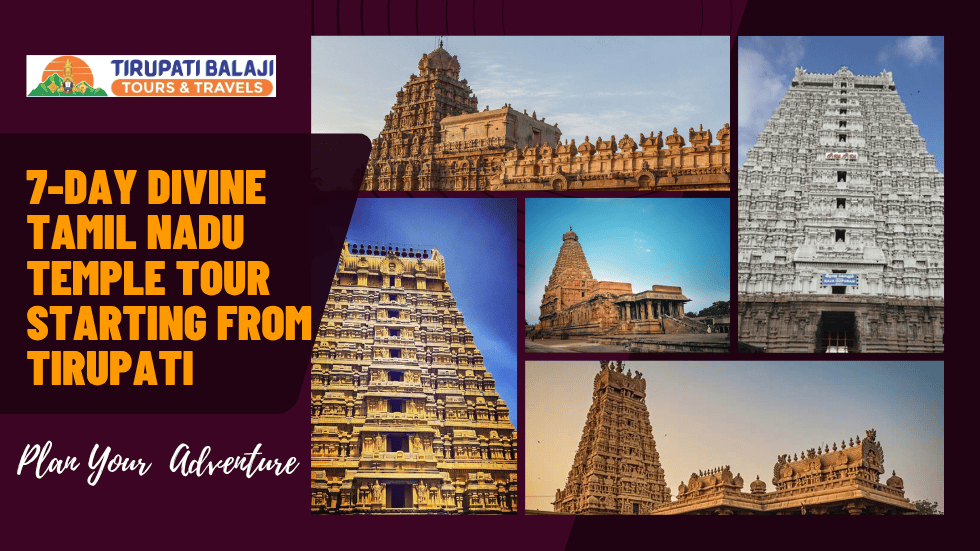 Tamil Nadu Temple Tour from Tirupati