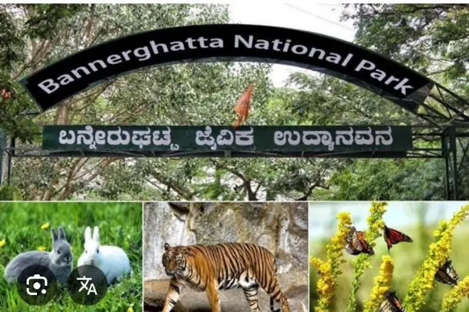 Cab service for tirupati to bangalore distance