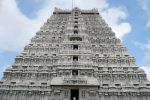 Tirupati to Arunachalam Packages
