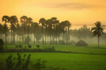 Kakinada to Tirupati Tour Package 3 Days Kakinada to Tirupati Tour Package 6 Days Kakinada to Tirupati Arunachalam Mahabalipuram Tour Package