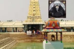 Tirupati to Golden Temple Vellore Taxi Service