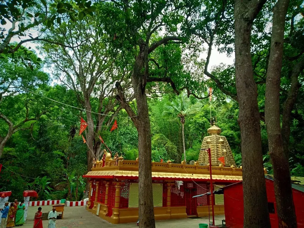 Japali