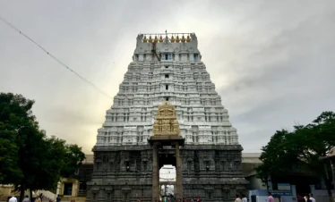 varadaraja perumala