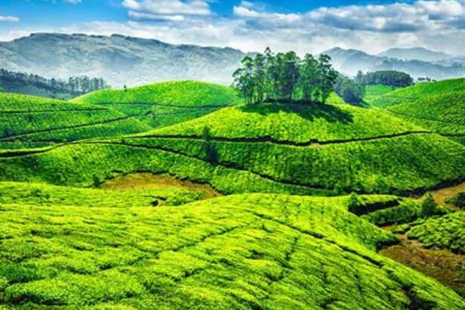Outstation Packages 12 Munnar