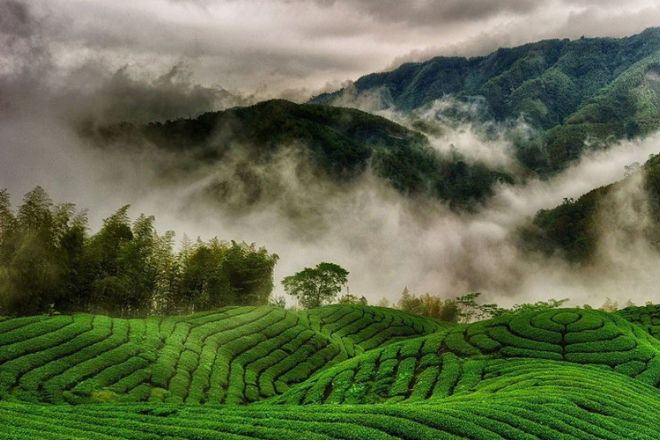 Outstation Packages 10 Ooty