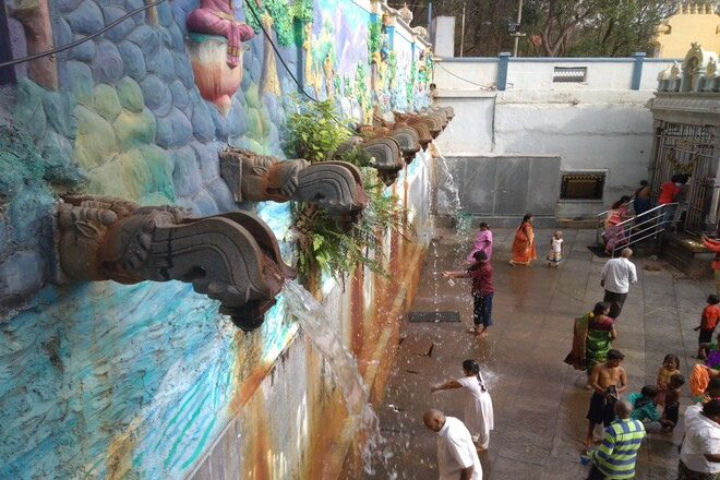 Local Packages 8 Papavinasanam