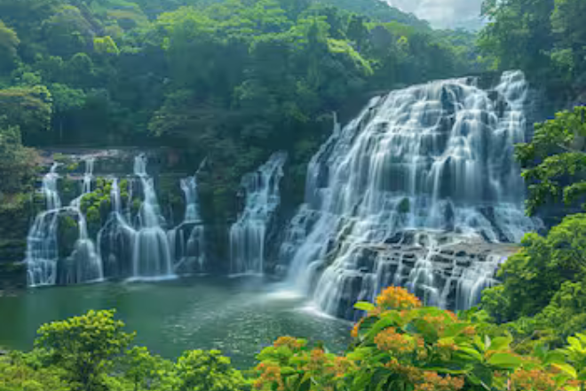 Outstation Packages 13 Wayanad