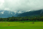 5 Days Palakkad to Tirupati Temple Tour Package – South India Pilgrimage 13 Palakkad to Tirupati Tour Packages Local Packages 3 Days Palakkad to Tirupati Tour Package 3 Days Palakkad to Tirupati Arunachalam Tour Package